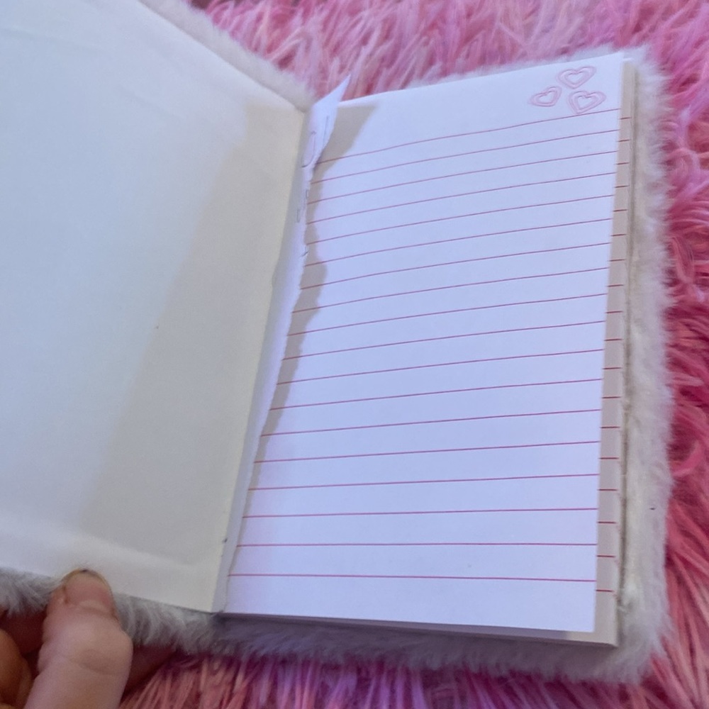 A journal - Picture 2 of 3